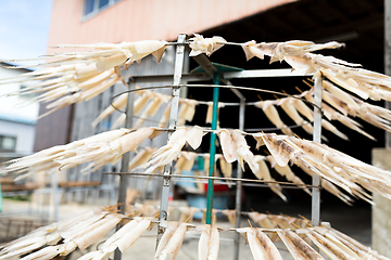 Image showing Squid dried on rack