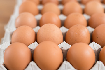 Image showing Fresh chicken egg