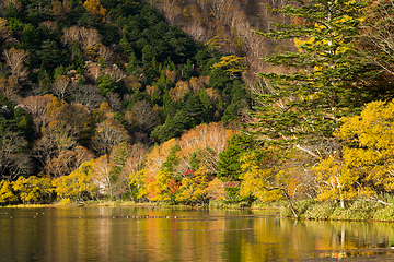 Image showing Yunoko lake in Autumn