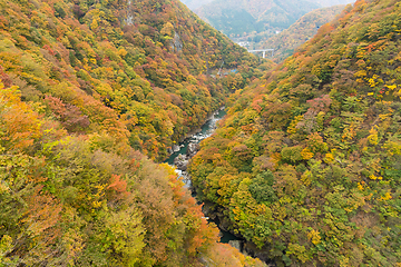 Image showing Beautifull landscape in kinugawa