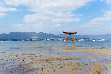 Image showing Torii in Itsukushima shine