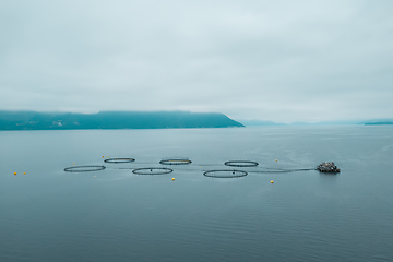 Image showing Farm salmon fishing in Norway