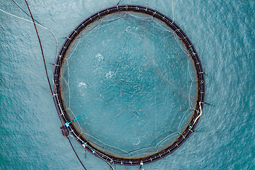 Image showing Farm salmon fishing in Norway