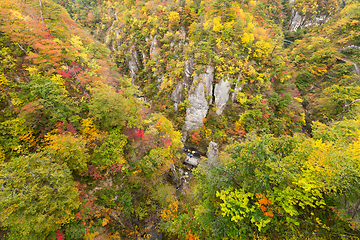 Image showing Naruko canyon with autumn foliage