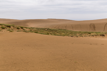 Image showing Tottori Sand Dunes in Japan