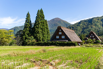 Image showing Historical Japanese village Shirakawago