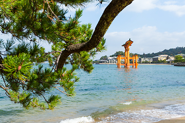 Image showing Floating Torii Gate in Hiroshima of Japan