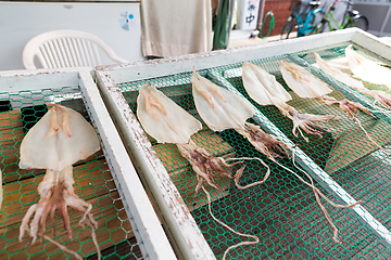 Image showing Dried squid in fish market