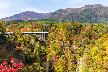 Image showing Bridge passing though Naruko Gorge in autumn