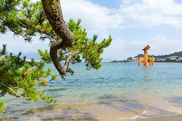 Image showing Floating Torii Gate 