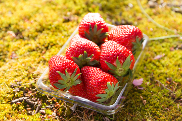 Image showing Strawberry