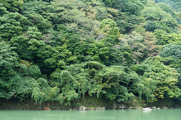 Image showing Lake in Arashiyama of Japan