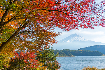 Image showing Mt. Fuji in autumn with red maple leaves