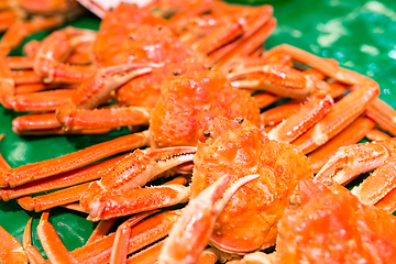 Image showing Snow crab