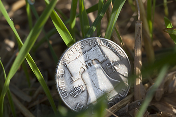 Image showing money on grass