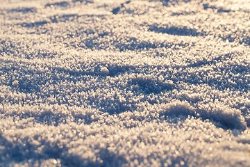 Image showing After snowfall