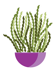 Image showing A purple flower pot with spiral standing plants vector color dra