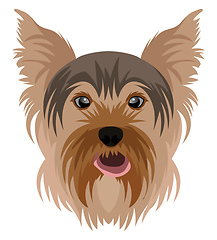 Image showing Yorkshire Terrier illustration vector on white background