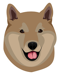 Image showing Shiba illustration vector on white background