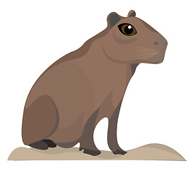 Image showing Image of capybara, vector or color illustration.