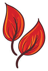 Image showing Clipart of two orange-colored leaves vector or color illustratio