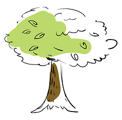 Image showing Tree sketch vector or color illustration