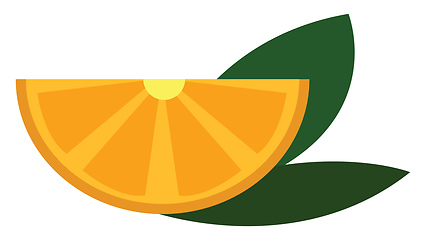 Image showing Yellow lemon slice with green leaves  vector illustration on whi