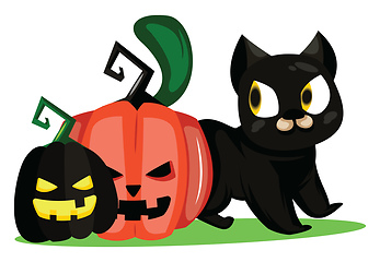 Image showing Two pumpkins and black cat vector illustration on white backgrou
