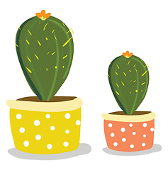 Image showing Two cactus plants with flowers in beautiful decorated pots for d