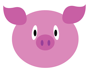 Image showing Baby pink pig vector or color illustration