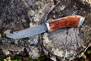 Image showing Hunting knife damascus steel on a forest background close-up