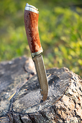 Image showing Hunting knife damascus steel on a forest background close-up