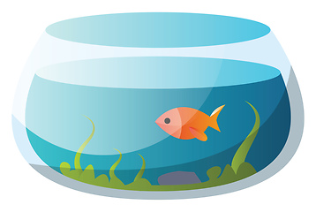 Image showing Round fishbowl with one goldfish vector illustration on a white 