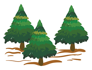 Image showing Clipart of spruce trees/Xmas trees vector or color illustration