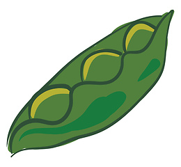 Image showing Green peas, vector or color illustration.