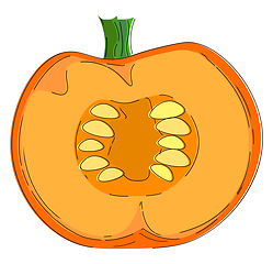 Image showing Half Pumpkin vector or color illustration