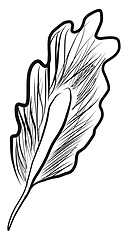 Image showing Black and white feather vector or color illustration