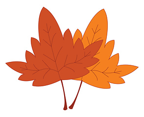 Image showing Dried yellow and red leaves print vector on white background