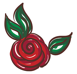 Image showing Drawing of rose flower vector or color illustration