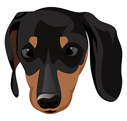 Image showing Small Doberman illustration vector on white background