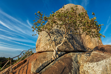 Image showing Meditation rock in Mihintaleon sunset, Sri Lanka