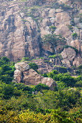 Image showing Shiva's foot - foot shaped rock at Mount Arunachala in Tiruvannamalai, Tamil Nadu, India