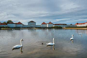 Image showing Swan in pond near Nymphenburg Palace. Munich, Bavaria, Germany