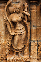 Image showing Bas reliefes in Hindu temple. Sri Ranganathaswamy Temple. Tiruchirappalli Trichy , Tamil Nadu, India