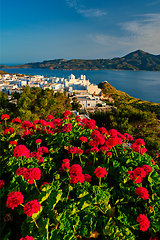 Image showing Red geranium flowers with Greek village Plaka on Milos island in Greece