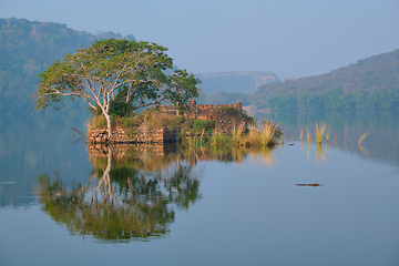 Image showing Serene morning on lake Padma Talao. Ranthambore National Park, Rajasthan, India