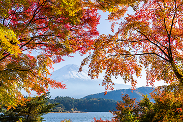 Image showing Mount Fuji in Autumn season of Japan