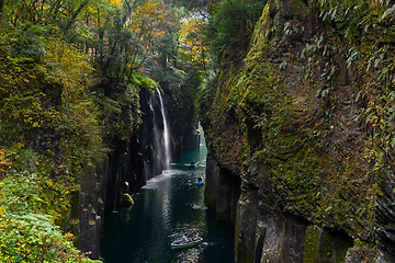 Image showing Yellow leaves in Takachiho Gorge