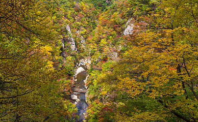 Image showing Autumn scenery of Naruko Gorge