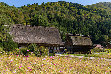 Image showing Traditional Japanese village Shirakawago
